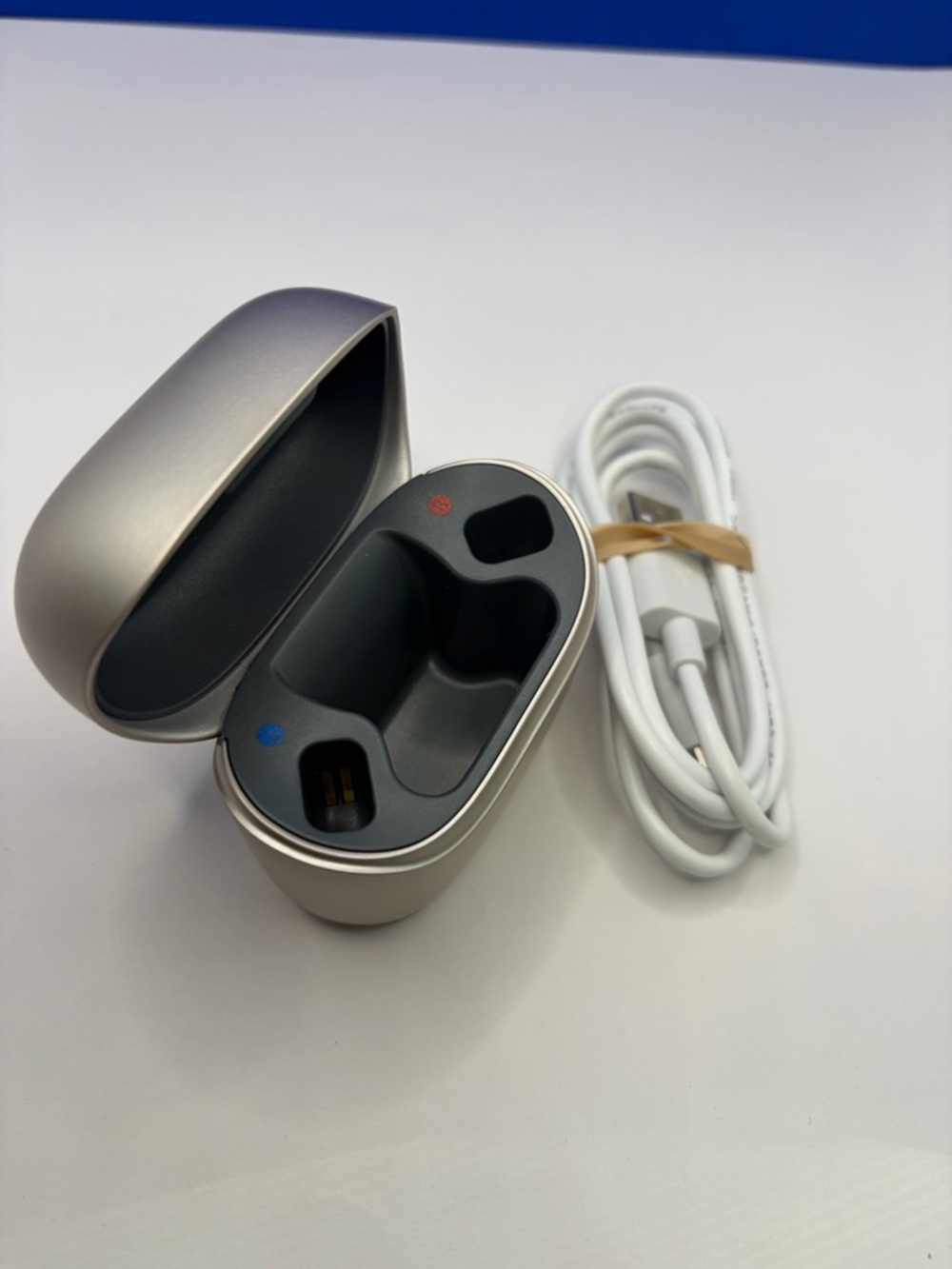 Phonak ChargerGo RIC Infinio Silver Hearing Aid Charging Case with USB Cable - Picture 2 of 6